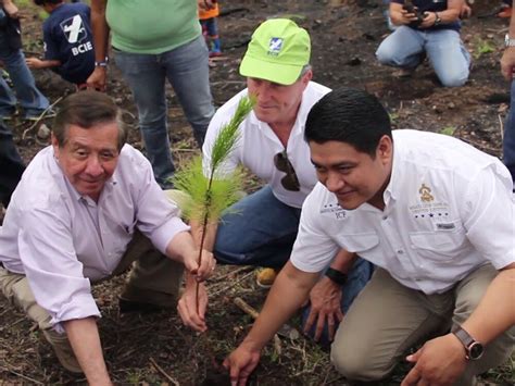 Responsablidad Social BCIE Actividad Voluntariado de Reforestación