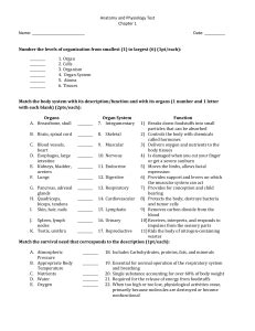 Anatomy And Physiology Chapter 7 Test Quizlet