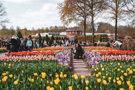 Keukenhof Gardens 2023 Guide for 1st Timers: Tips, Discounts & More!