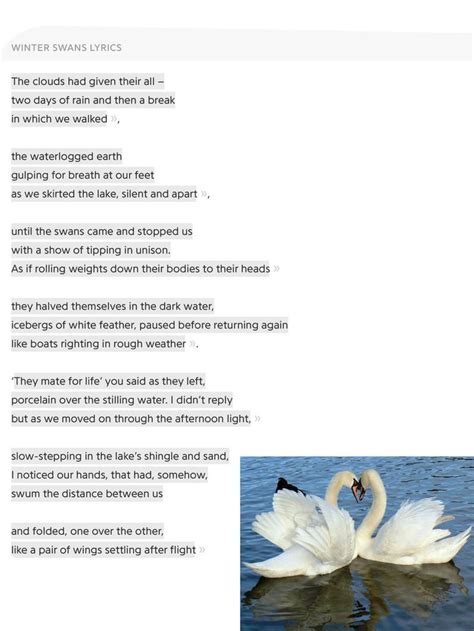 Winter Swans. My favourite poem from the GCSE anthology and so apt ...