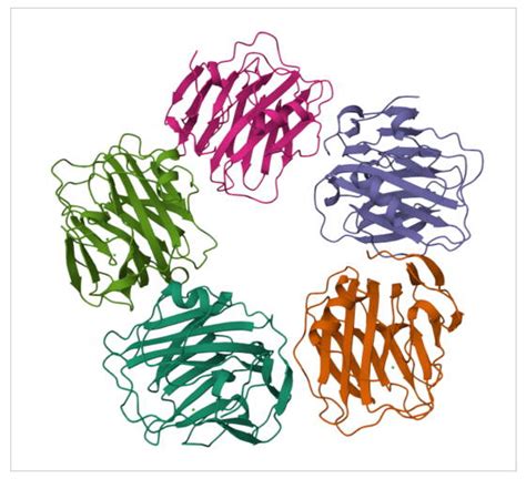 C Reactive Protein Assay Genie