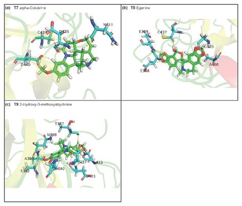 Figure S3 Cartoon Representation Of The Protein Ligand Interactions