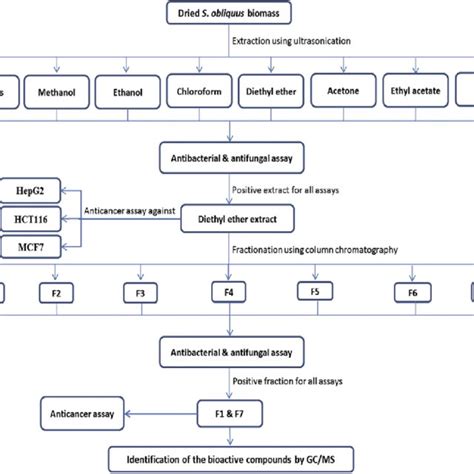 Flow Chart Of Extraction Fractionation And Identification Of Bioactive Download Scientific