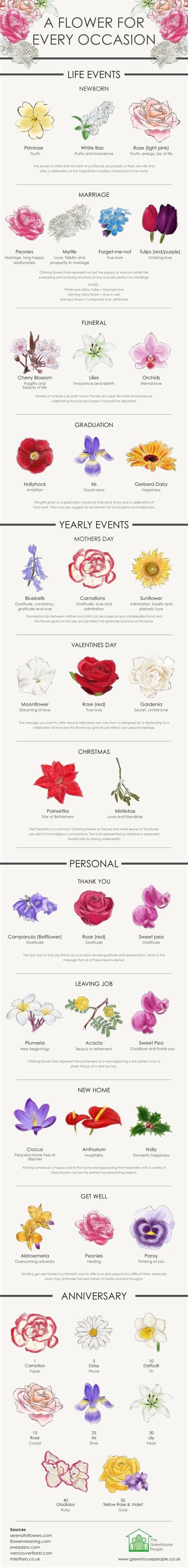 A Flower For Every Occasion Infographic Lenguaje De Las Flores