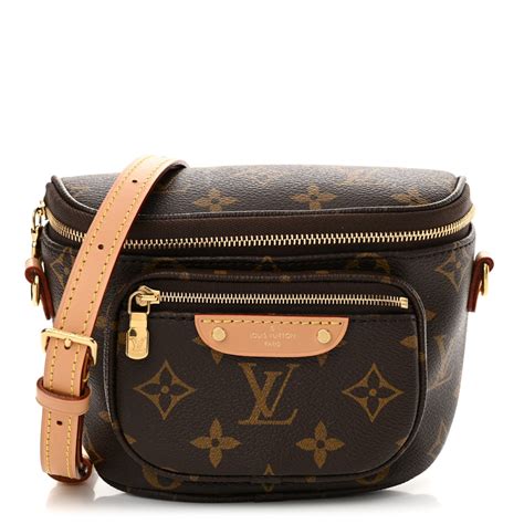 louis vuitton mini bags 13