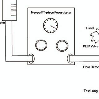 (PDF) T-piece gas flow palpation as a clinical indicator of endotracheal intubation in neonates