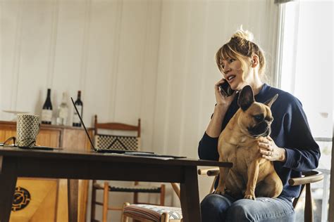 Can You File Your Dog On Your Taxes