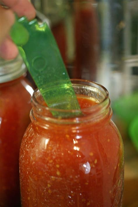 Canning Tomato Sauce Recipe Tomato Sauce Recipe Easy Homemade