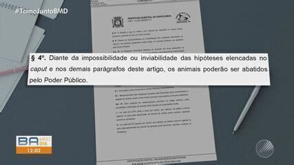 Prefeitura Na BA Publica Decreto Que Determina Abate De Animais