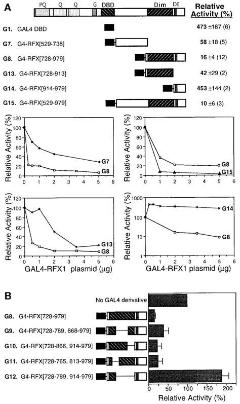 Transcriptional Repression By Gal4 Rfx1 Chimeric Proteins Containing Download Scientific