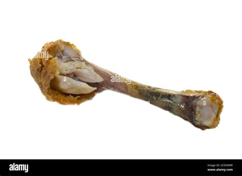 The Chicken Bone Stock Photo Alamy