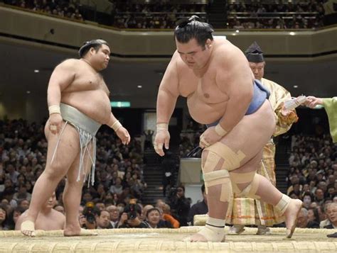 横審・守屋委員長、日馬富士にエール 休場にも温かく「ちゃんと治して」スポーツデイリースポーツ Online