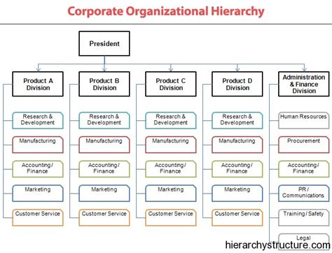 Organizational Chart And Hierarchy Definition Examples Images