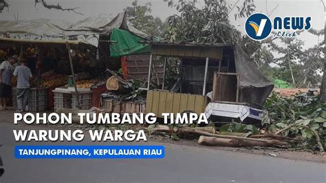 Pohon Tumbang Timpa Warung Warga YouTube