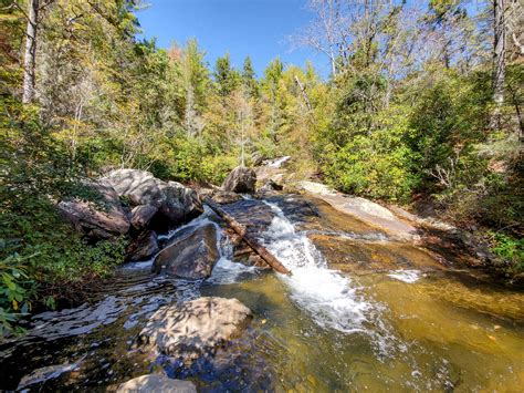 Wintergreen Falls – DuPont State Forest - Steph Purk