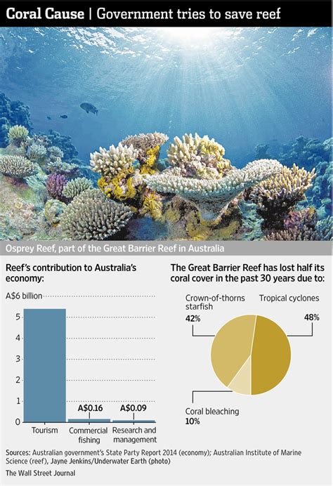 Great Barrier Reef Plan Isnt Enough Conservationists Say Wsj