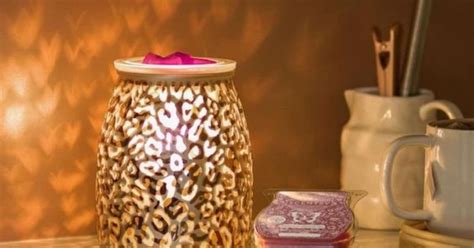 Savanna Scentsy Warmer The Candle Boutique Scentsy UK Consultant