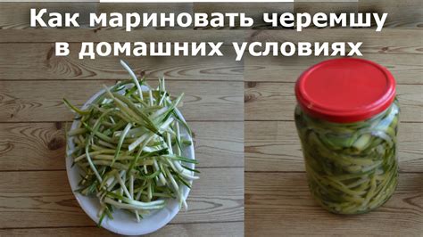 Черемша маринованная. Как Мариновать Черемшу в Домашних Условиях - YouTube