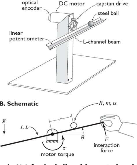 Figure From Human Adaptation To Dynamic Interaction Forces During