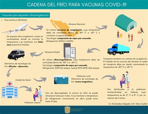 Veranos de la Ciencia UG Cadena del frío para vacunas COVID 19