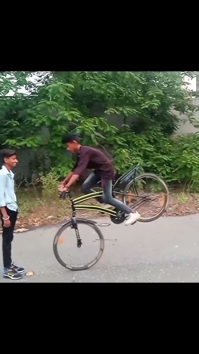 Automobile Cyclest Cycleriding Stunt Cycleb Cycling Cycle