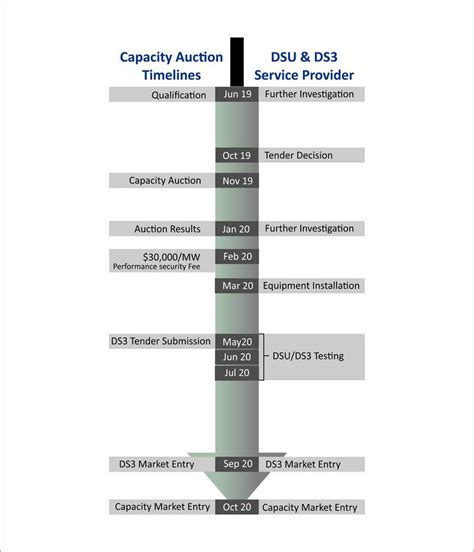 Entry #8 by Cmyksonu for Design a timeline diagram | Freelancer