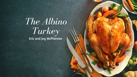 The Albino Turkey - This Side of Heaven