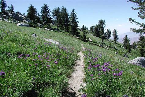 14 of the Best Hiking Trails in Boise, Idaho - PrepArmy