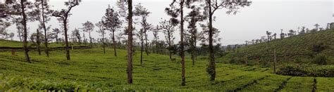 Bangalore To Ooty And Coonoor Days Tour Package