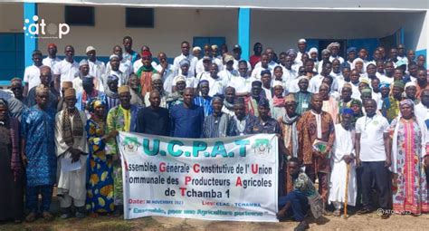 Agriculture Lunion Communale Des Producteurs Agricoles De Tchamba 1