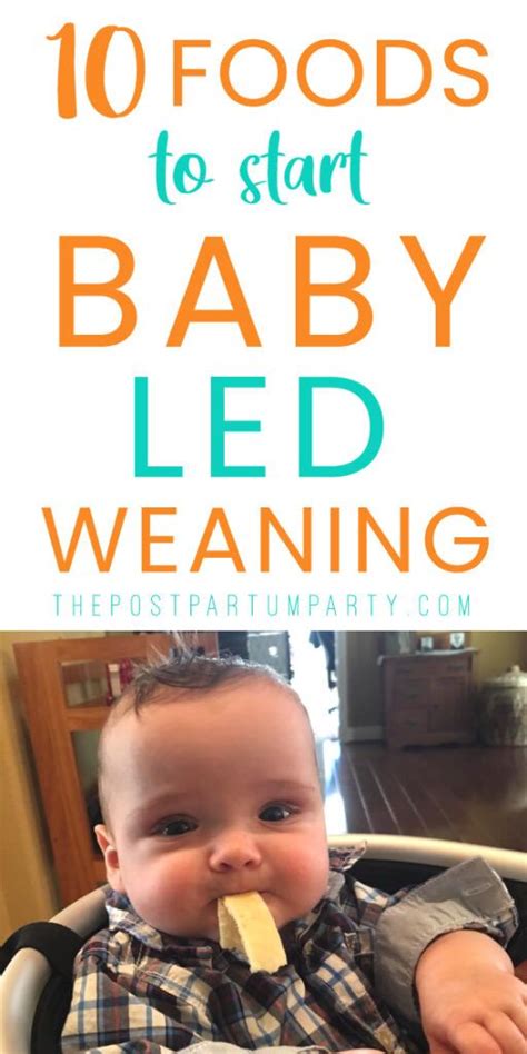 How To Start Baby Led Weaning Artofit