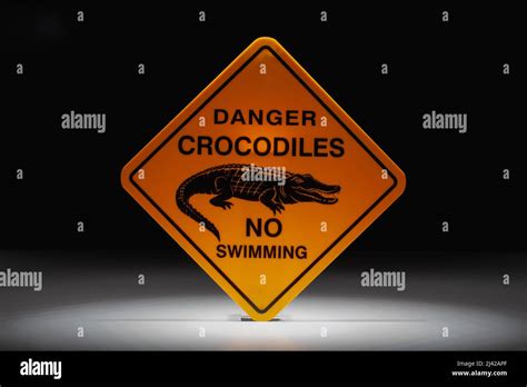 Warning Sign Danger Crocodiles In The Dramatic Light Danger Crocodiles