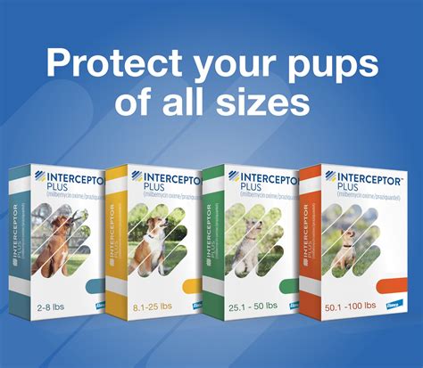 Interceptor Plus Chew For Dogs 2 8 Lbs Orange Box