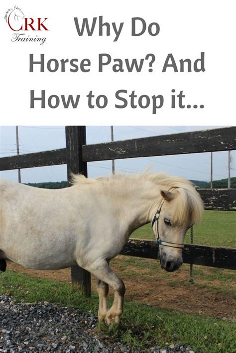 Pawing is one of those things horses do that, to a non-horse person ...