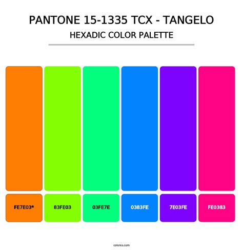 PANTONE 15 1335 TCX Tangelo Color Palettes Colorxs