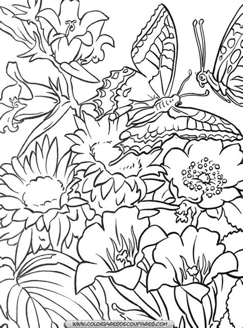 Coloriage Fleurs Et Papillons Dessin Gratuit Imprimer