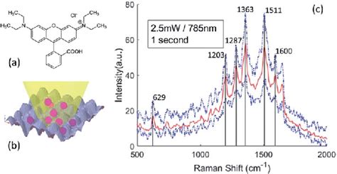 A Chemical Structure Of Rhb B Scheme Of Sers Measurement C