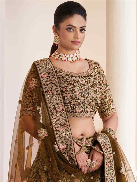 Beige Net Embroidered Bridal Reception Heavy Border Lehenga Choli