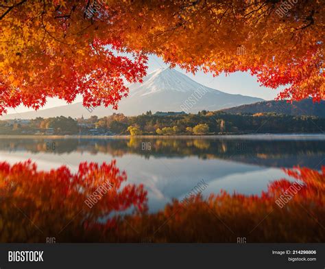 Mtfuji Autumn On Image And Photo Free Trial Bigstock