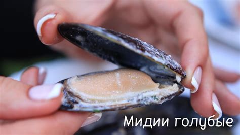 Мидии голубые в раковине в сливочном соусе. Вкуснятина - YouTube