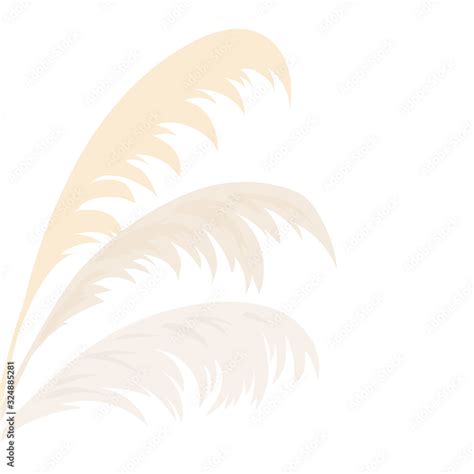 Silver Pampas Grass Card Template Frame On The Left With Copy Space Vector Illustration Floral