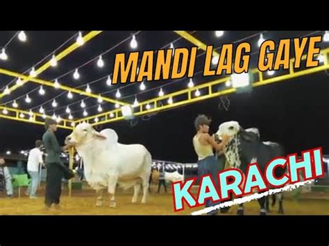 Mandi Lag Gaye Karachi Update Youtube