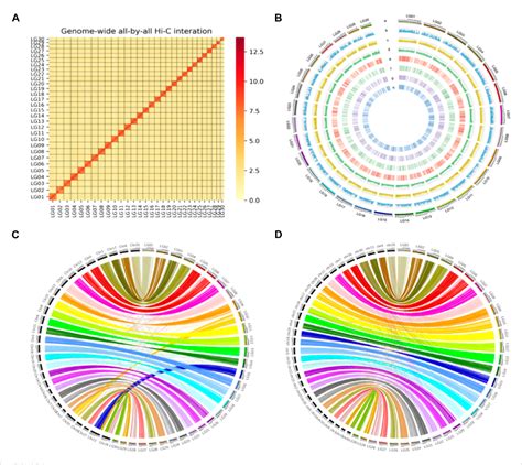 Figure 2 From De Novo Assembly Of A Chromosome Level Reference Genome