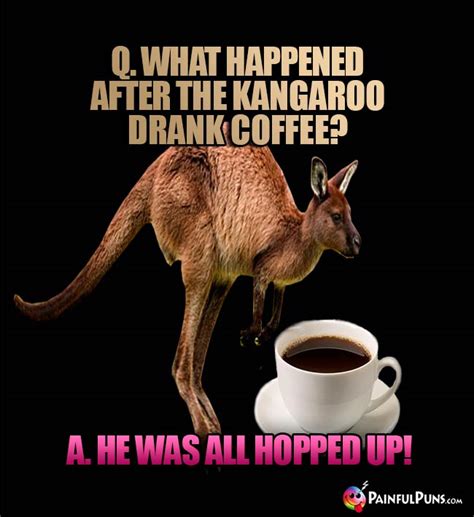 Kangaroo Jokes, Roo Puns, Marsupial Humor | PainfulPuns.com