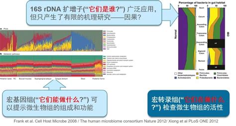 三天实现独立分析宏基因组数据 有参、无参和分箱等 Csdn博客