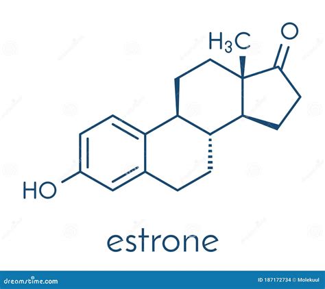 Estrone Oestrone Human Estrogen Hormone Molecule Skeletal Formula