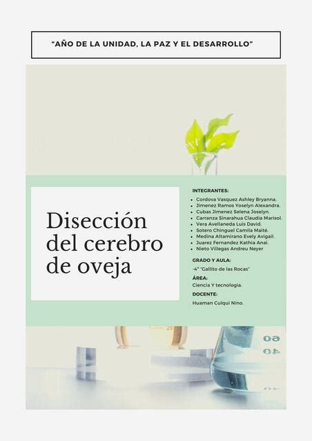 Disección del cerebro de oveja Joselyn Cubas Jiménez uDocz