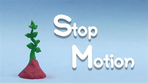 Stop Motion Video Growing Plant Plant Trees Motion Compilation