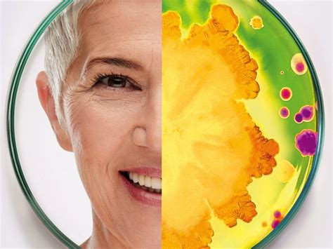 What will probiotics do for my skin? - Esse Skincare UK