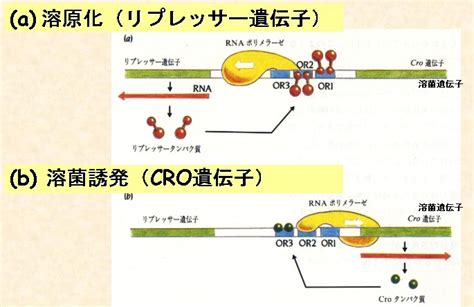 Tachikawa Laboratory